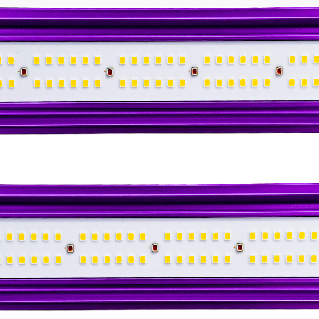 Lumatek ZEUS 465W Pro 2.9 LED