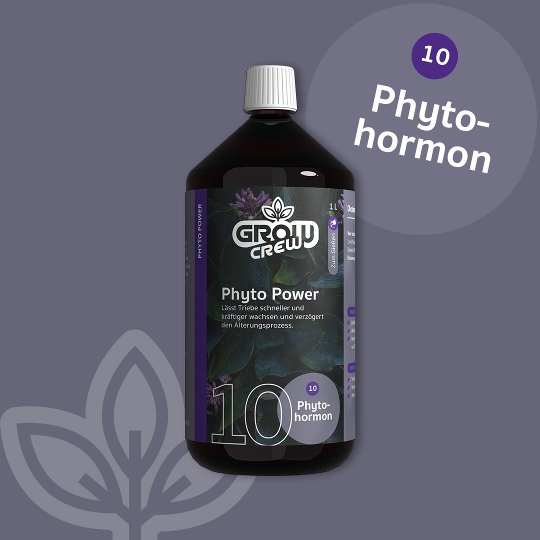 1 L GrowCrew - Phyto Power (Phytohormon)
