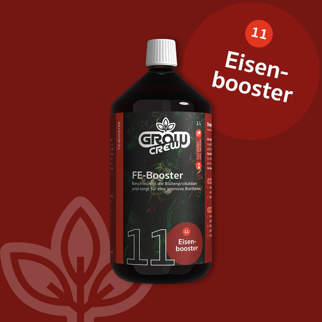 1 L FE-Booster