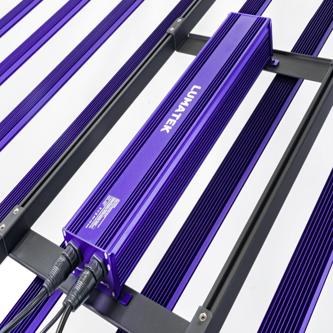 Lumatek ZEUS 1000W Pro EVO 3.1 LED