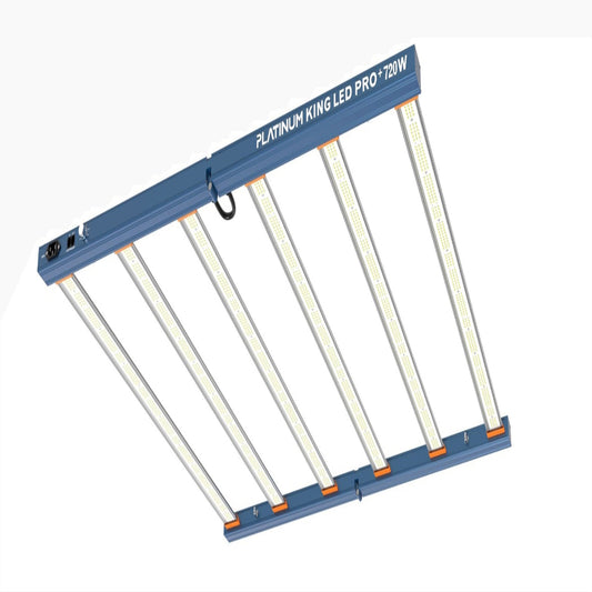 King LED PL Schwarz 1000W (Treiber integriert)