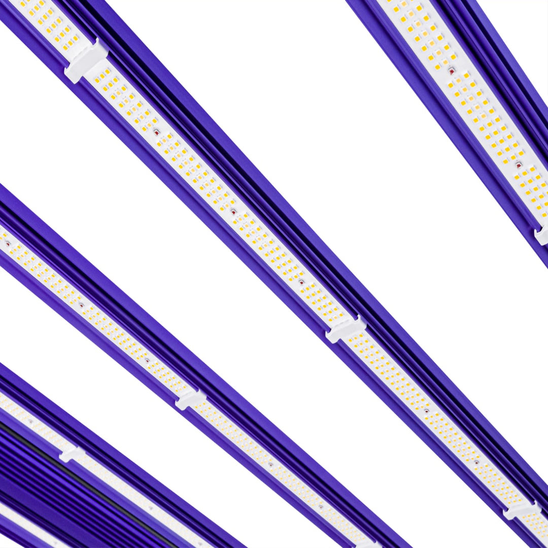 Lumatek ZEUS 1000W Pro EVO 3.1 LED