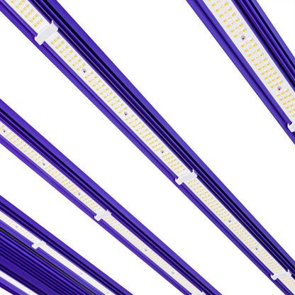 Lumatek ZEUS 1000W Pro EVO 3.1 LED