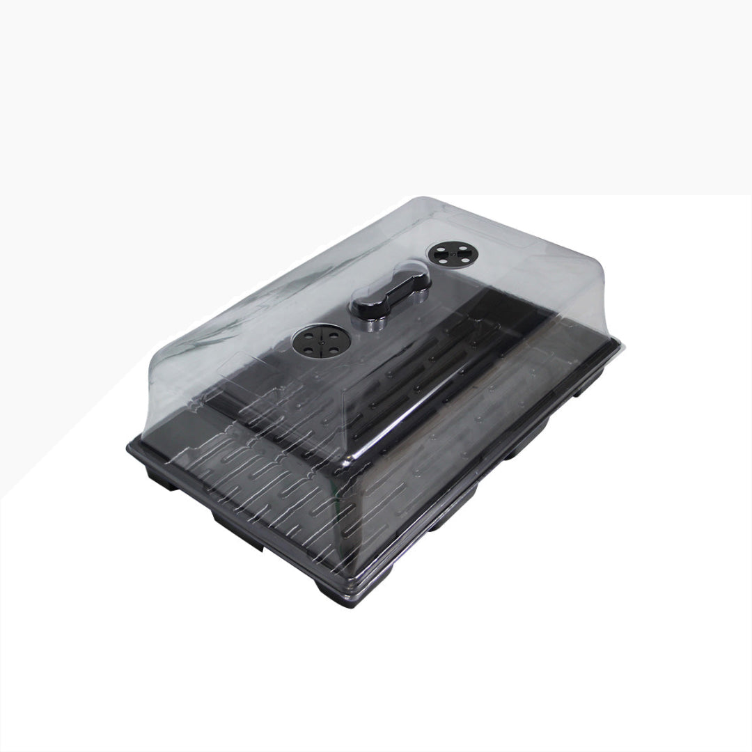 Stecklingskasten eco komplett - 58x 37 cm